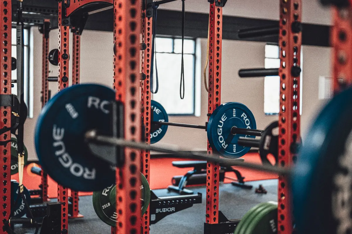 Personne effectuant un squat avec barre en musculation, démontrant un exercice polyarticulaire efficace