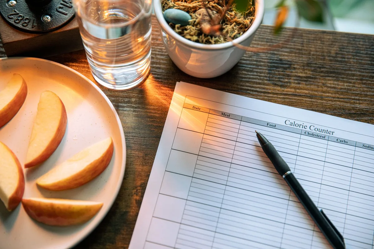 Un journal alimentaire avec des photos de repas pour compter les calories