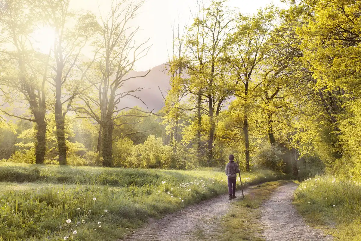 Personne marchant seule dans un environnement naturel calme, illustrant les bénéfices mentaux et le bien-être.