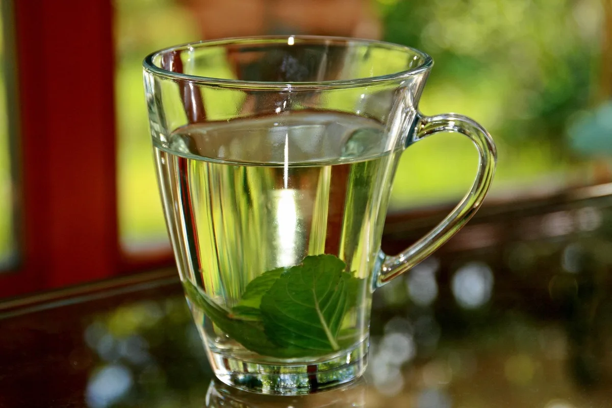 Bouillotte et tasse d'infusion près d'une assiette légère sur une table