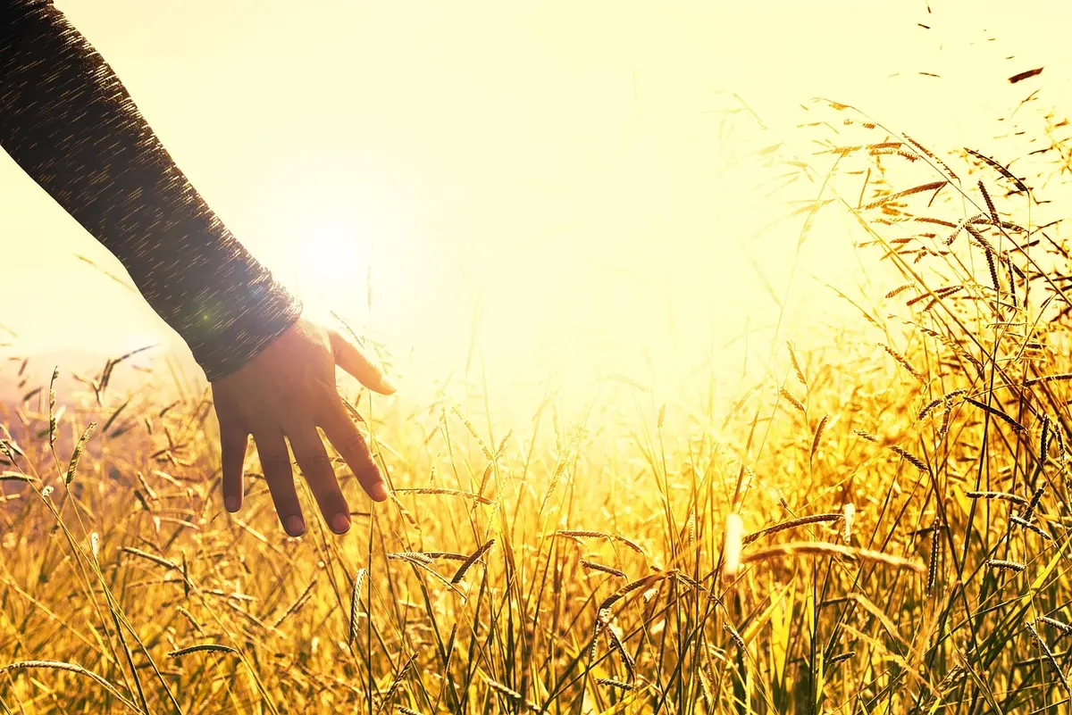 Parent appliquant une crème solaire minérale sur l'avant-bras d'un enfant