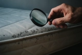 Comment se débarrasser des punaises de lit : 9 astuces efficaces et conseils de prévention