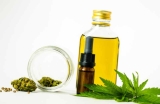 Santé : l’huile de CBD bientôt dans la pharmacopée française ?