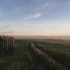 Un noyer au jardin pour l&rsquo;ombre et les noix maison