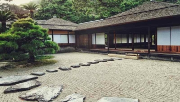 Un noyer au jardin pour l&rsquo;ombre et les noix maison